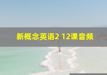 新概念英语2 12课音频